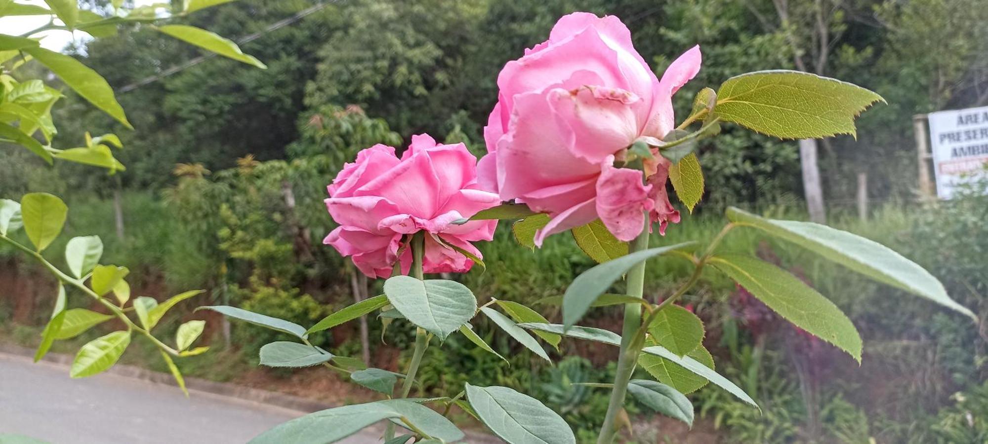 Pousada Alejandro Cunha Ngoại thất bức ảnh